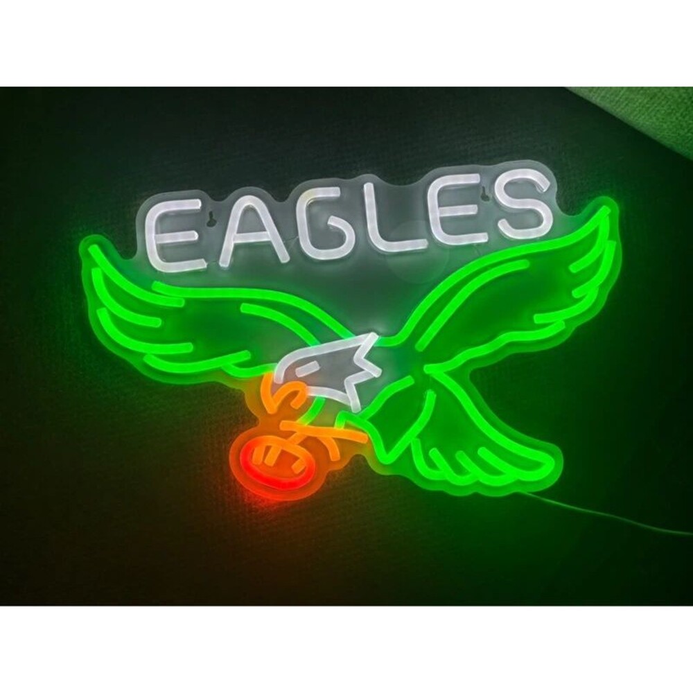 Philadelphia eagles LED light
